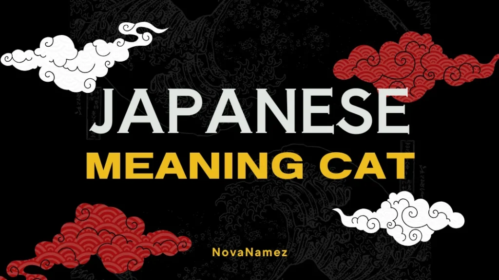 Japanese Names Meaning Cat (1)